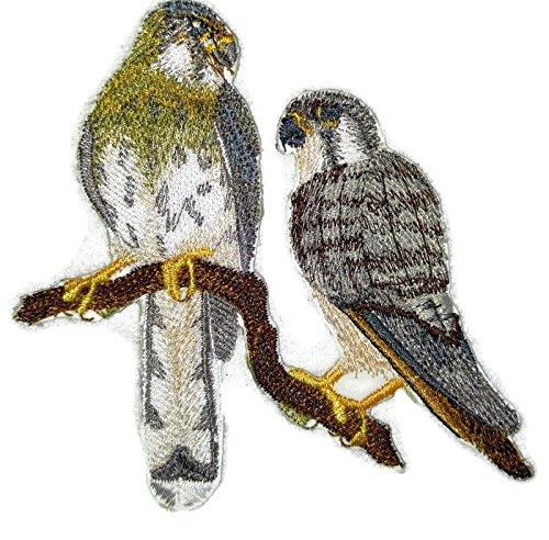 American Kestrel Pair embroidered patch, featuring vibrant colors and intricate details, perfect for iron-on or sewing applications.